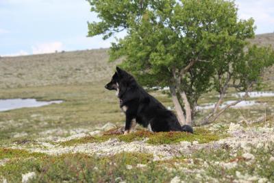 post-8184-0-89331800-1405702289_thumb.jp