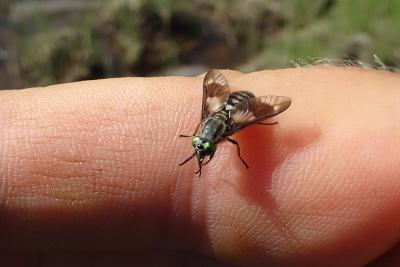 post-8487-0-13155300-1406192544_thumb.jp