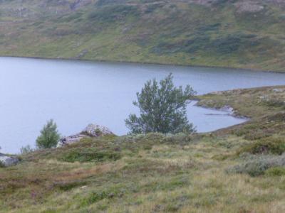 post-8499-0-22345700-1405435829_thumb.jp