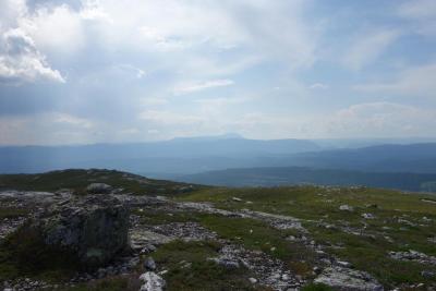 post-9055-0-08702800-1406460578_thumb.jp