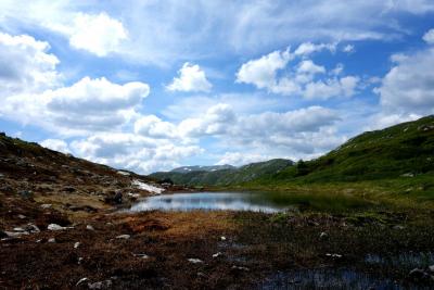 post-9055-0-69092900-1405262150_thumb.jp