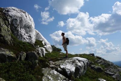 post-9055-0-78192000-1406460563_thumb.jp