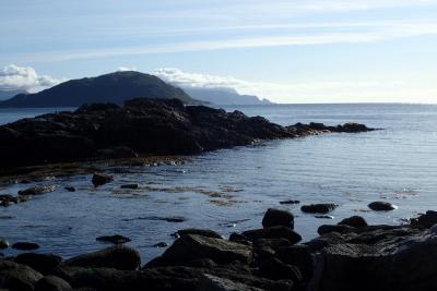 post-10375-0-68619300-1437988106_thumb.j