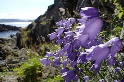 post-10375-0-76369800-1437988104_thumb.j