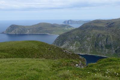 post-10375-0-89228000-1437405195_thumb.j