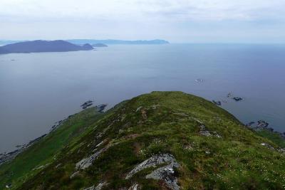 post-10375-0-98165600-1437405189_thumb.j