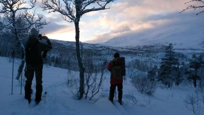 post-10401-0-02270700-1436444422_thumb.j