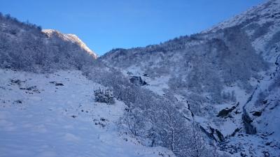 post-10401-0-37278300-1436440353_thumb.j