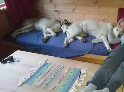 post-1073-0-56302900-1437773446_thumb.jp