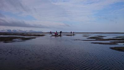 post-10858-0-30730200-1438274228_thumb.j