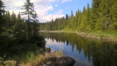 post-11941-0-02269800-1436114833_thumb.j