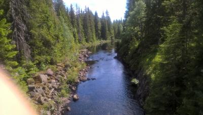 post-11941-0-51451700-1436114803_thumb.j