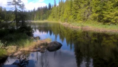 post-11941-0-60199500-1436114788_thumb.j