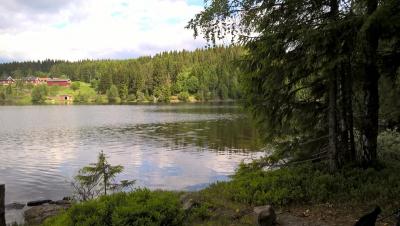 post-11941-0-82728500-1436114748_thumb.j