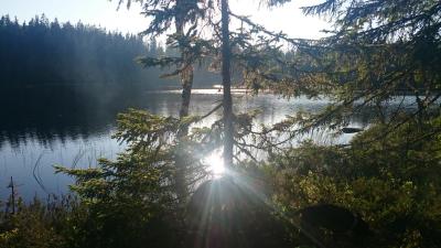 post-12030-0-36205200-1436867965_thumb.j