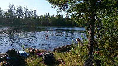 post-12030-0-75226000-1436867947_thumb.j