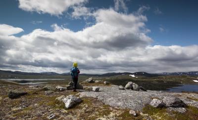 post-12278-0-16496900-1437906046_thumb.j