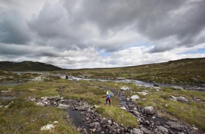 post-12278-0-17109200-1437918018_thumb.j