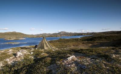 post-12278-0-23863100-1437912058_thumb.j