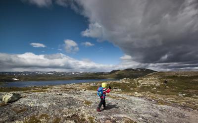 post-12278-0-39227300-1437919280_thumb.j