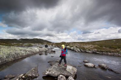 post-12278-0-63847000-1437918028_thumb.j