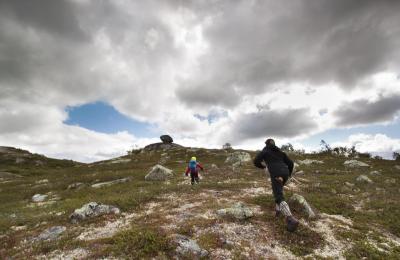 post-12278-0-67141200-1437918884_thumb.j