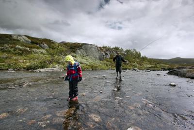 post-12278-0-79616400-1437919822_thumb.j