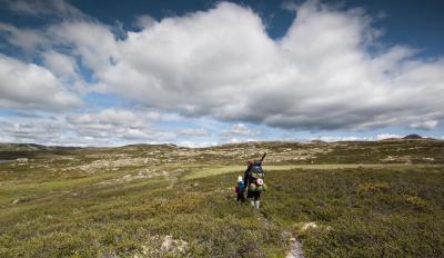 post-12278-0-83523500-1437909961_thumb.j