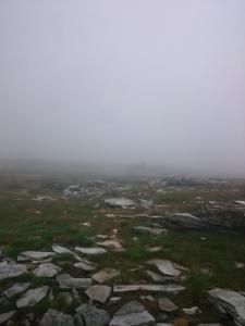 post-14911-0-76140200-1438285718_thumb.j