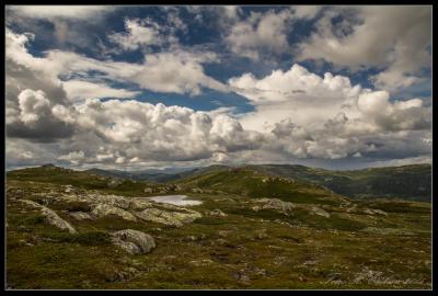 post-15860-0-16487200-1438280413_thumb.j