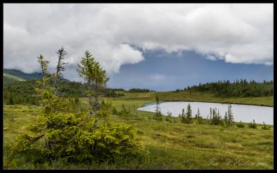 post-15860-0-24693600-1438281404_thumb.j