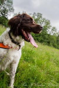 post-15860-0-38644000-1438091620_thumb.j