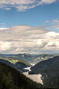 post-15860-0-47584800-1438282449_thumb.j