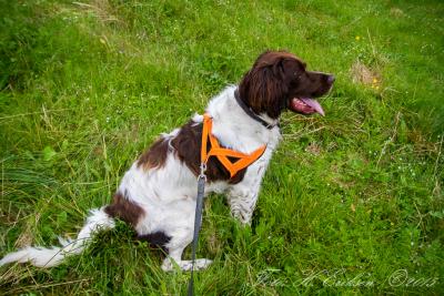 post-15860-0-68887800-1438091619_thumb.j