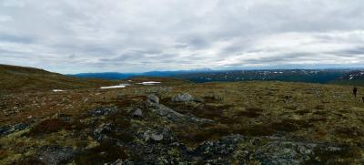 post-15860-0-91164000-1436644536_thumb.j