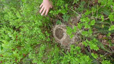 post-16581-0-41257100-1437659783_thumb.j