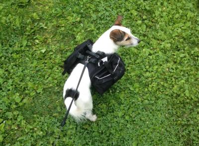 post-17643-0-22137900-1436449581_thumb.j