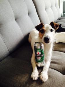 post-17643-0-33597700-1436449401_thumb.j