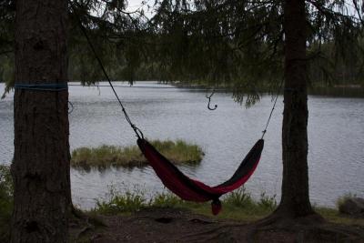 post-17675-0-29716900-1436605819_thumb.j