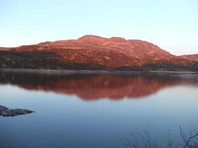 post-17903-0-98835800-1437645538_thumb.j