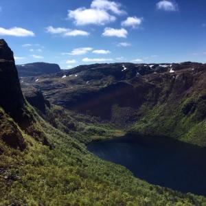 post-3450-0-63403600-1435779015_thumb.jp