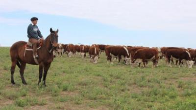 post-4220-0-79477700-1437813907_thumb.jp