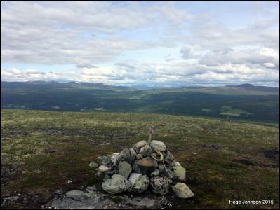 post-4444-0-68948600-1437852131_thumb.jp