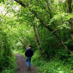 post-4444-0-69346100-1436361050_thumb.jp