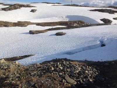 post-6575-0-79383900-1437596293_thumb.jp