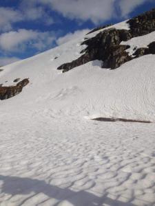 post-6575-0-91611400-1437596279_thumb.jp