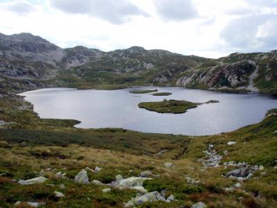 post-6671-0-03634300-1436303285_thumb.jp