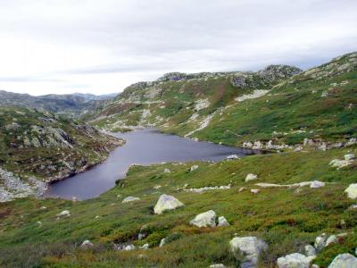 post-6671-0-72497200-1436303146_thumb.jp