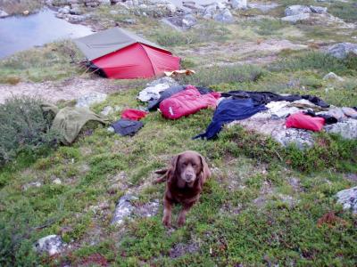 post-6671-0-77291400-1435735925_thumb.jp