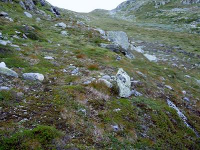 post-6671-0-99872600-1435810805_thumb.jp